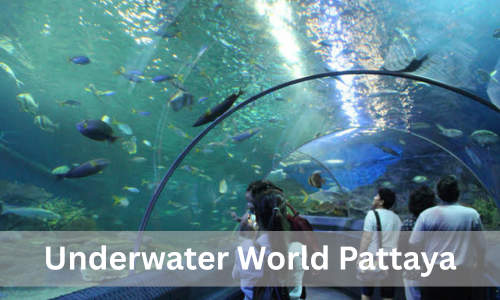 Underwater World Pattaya